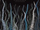 Pelican - City of Echoes