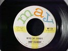 JIMMY BEAUMONT Never Say Goodbye NORTHERN SOUL POPCORN 45 on MAY Skyliners HEAR