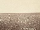 The Ash & Clay [VINYL] The Milk Carton Kids Vinyl