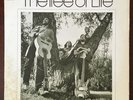 RARE PRIVATE FOLK PSYCH VI FIRE The Tree Of Life ARTRONICS NM LP
