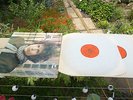 Bob Dylan - Blonde on Blonde Rare CBS 2LP UK Stereo Rare