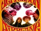 Live At the Fillmore-november 25th 1966 - Jefferson Airplane LP