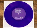 The National - Terrible Love / You Were a Kindness (7