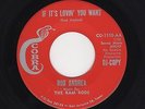 '60s Txs NORTHERN/R&B ROD ANDREA If It's Lovin' You Want COBRA 1115 M- DJ HEAR