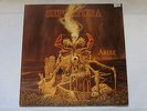 LP 0178 sepultura arise Vinyl Schallplatte Metall Hardcore Punk Electro