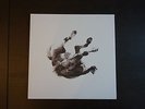 ANBERLIN Dark Is The Way, Light Is A Place Vinyl LP 2010 Used