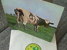 Pink Floyd , Lp--Atom Heart Mother , Hör Zu 297 , Excellent
