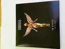 Vinyl Album Nirvana 