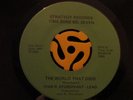 Rare MODERN/SWEET SOUL 45-Ivan R. Sturdivant-World That Died-Strategy Vg+ HEAR