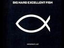 BIG HARD EXCELLENT FISH IMPERFECT LIST 12