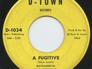 Hear - Rare Garage 45 - The Fugitives - A Fugitive - D-Town Records # 1034
