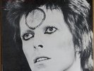 David Bowie - Thin White Duke Meets Ziggy Live Copenhagen 1976 Vinyl Rare