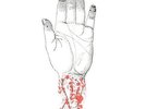 `Converge - You Fail Me: Redux [LP] (White Vinyl, download, limited VINYL LP NEW