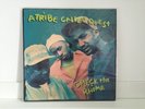 A Tribe Called Quest Check The Rhime Skypager Hip hop Vinyl Record 12