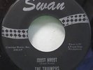 TRIUMPHS JOUST ABOUT SWAN CREDIT CARD KILLER TWO SIDE  INST 45