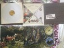Panic at the Disco Pretty Odd Vinyl Box set
