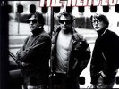THE NERVES One Way Ticket LP NEW VINYL POWERPOP PAUL COLLINS BEAT PETER CASE