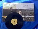 LP vinile OTTIMO  RICORDO GRANDE PINO DANIELE NERO A META   NO CD