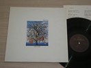 TALK TALK - SPIRIT OF EDEN - LP 33 GIRI ITALY