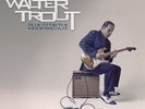 Blues For The Modern Daze [VINYL] Walter Trout Vinyl