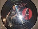 45 T JOHNNY HALLYDAY ET LIZA MINELLI PICTURE DISC
