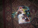 DEF LEPPARD - SET OF SEVEN PICTURE SLEEVE 45'S  PUT TOGETHER MAKE HYSTERIA COVER
