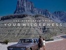YOUR WILDERNESS - PINEAPPLE THIEF - Vinyl LP