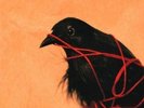 DEATH CAB FOR CUTIE - TRANSATLANTICISM (180GM) NEW VINYL