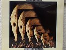 SAM RIVERS - The Quest   STILL SEALED  Pausa LP