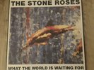 THE STONE ROSES - WHAT THE WORLD IS WAITING FOR - RARE 12
