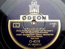 0185/ HARRY RADEMACHER´S DANCE ORCHESTRA-Hallelujah-FOXTROTT-Schellack