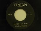 Sue & The Dynamics 45 LOVE IN MY EYES ballad / GO TELL IT... Fenton  M- popular