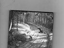 1Burzum Hvis Lyset Tar Oss Digipack 1993 / OTTIMO