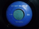 THE PASTELS why don't you love me ? / what can i say 45 GARAGE CENTURY 1960s
