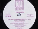 VISION Laidback & Groovy NU GROOVE 12