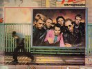 Tempo Roomside Streetside Polydor Vinyl LP