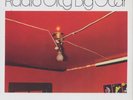 Big Star, Radio City 150g LP from the Michael Hobson Archives