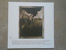 The Pixies 12