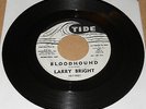 LARRY BRIGHT 45 bloodhound WAY DOWN HOME promo TIDE wlp