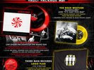 THIRD MAN RECORDS VAULT 21 COMPLETE SEALED WHITE STRIPES UNDER RISING SUN