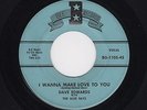 '58 Rocker DAVE EDWARDS I Wanna Make Love To You/Crazy Little Dream BEE VG HEAR