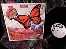 RARE 1968 ORIG  FUZZ PSYCH = A PASSING FANCY = PSYCHEDELIC GARAGE PLASTIC CLOUD