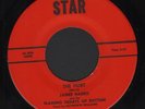 (Hear) 1970 James Harris & Flaming Hearts of Rhythm Raw Soul Funk 45 (The Hurt)