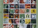 PEARL JAM NO CODE/1996 EPIC Records E67500 Rare 
