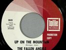 HEAR IT 60's Doo-Wop 45 rpm The Fallen Angels 