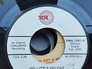 FOUR TEENS  RM REPRO LABEL   45 GO LITTLE GO CAT       HARD TO FIND