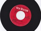 THE DYNAMICS----YOU MAKE ME FEEL SO GOOD---RCA
