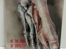 AT THE FOOT OF BRUTALITY - Various  Mexico Death Metal Comp Vinyl LP Record