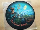 THE FLOWER KINGS BACK IN THE WORLD OF ADVENTURES SWEDISH PROGROCK KAIPA