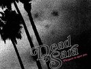 DEAD SARA-PLEASURE TO MEET YOU (GATE)  (US IMPORT)  VINYL LP NEW